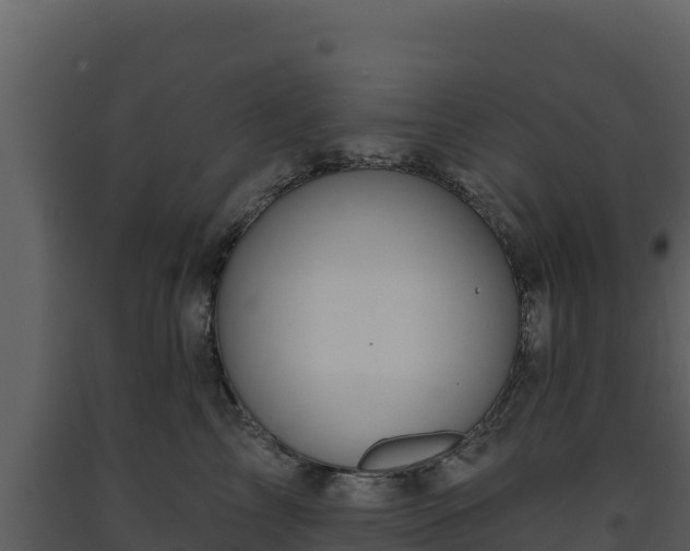 X0000093470713200710191145