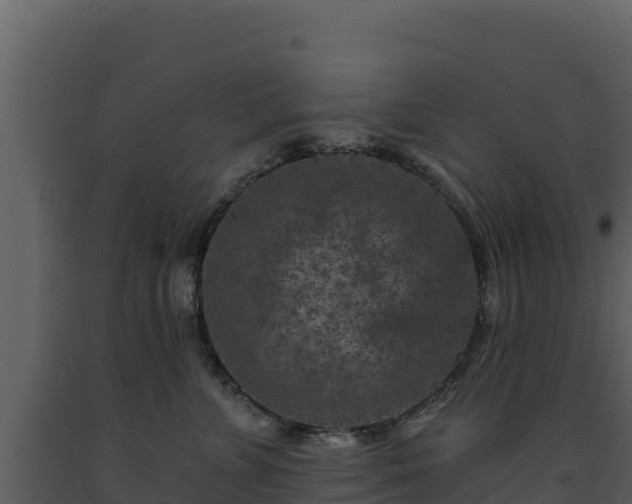 X0000093470715200710191145