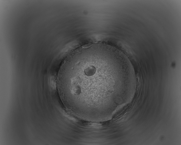 X0000093470719200710191145