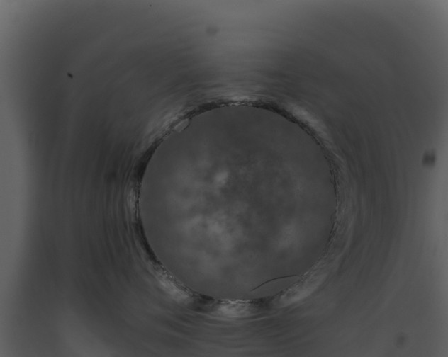 X0000093470720200710191145