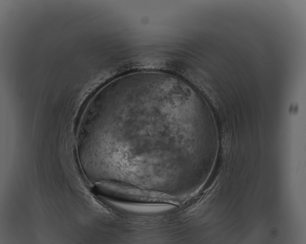 X0000093470721200710191144