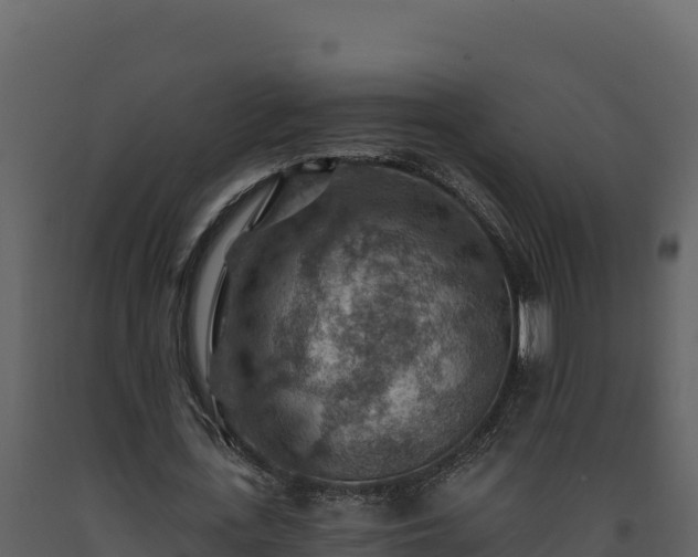 X0000093470723200710191144