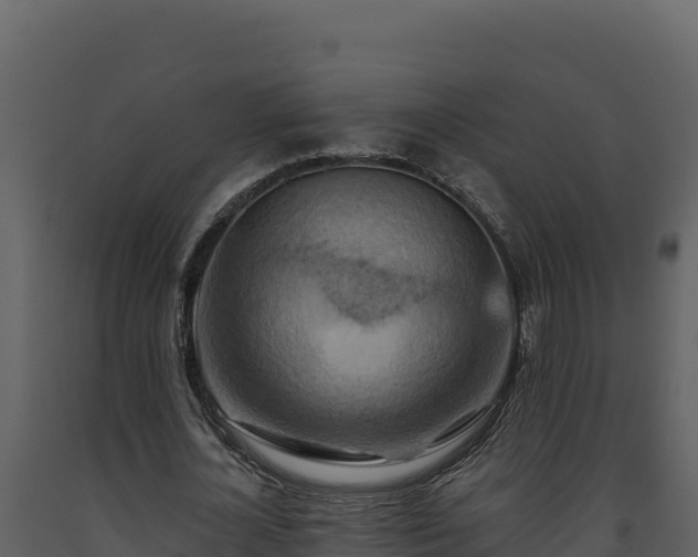 X0000093470724200710191144