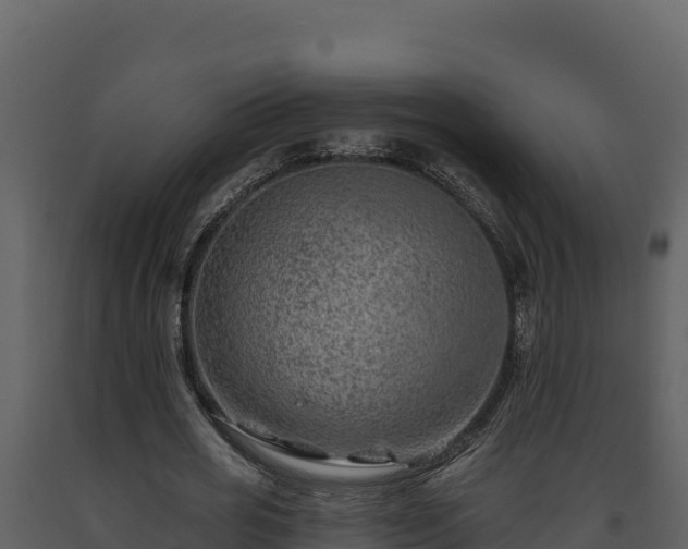 X0000093470725200710191144