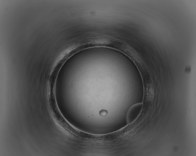 X0000093470726200710191144