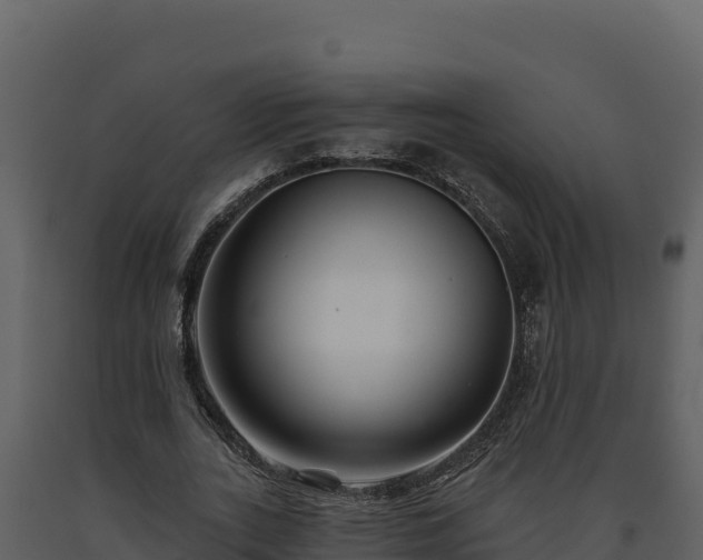 X0000093470727200710191144