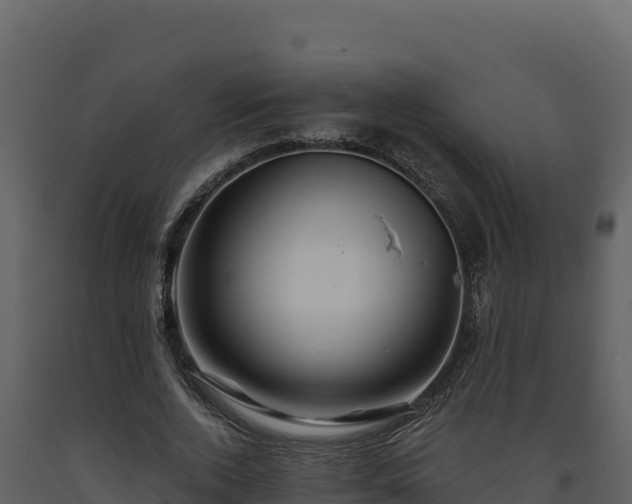 X0000093470728200710191144