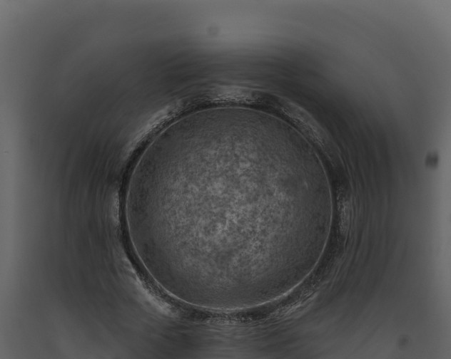 X0000093470729200710191144