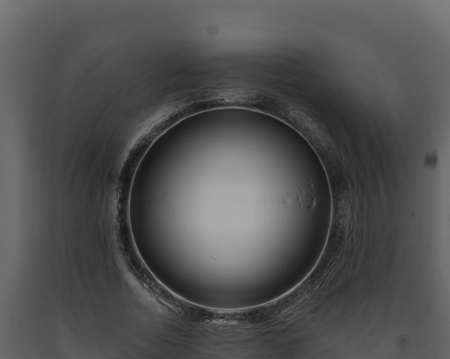 X0000093470730200710191144