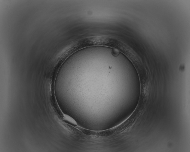 X0000093470733200710191144