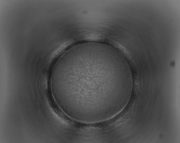 X0000093470734200710191144