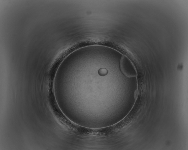 X0000093470736200710191144