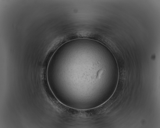 X0000093470738200710191144