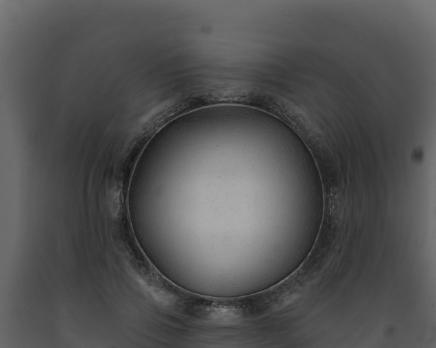 X0000093470741200710191144