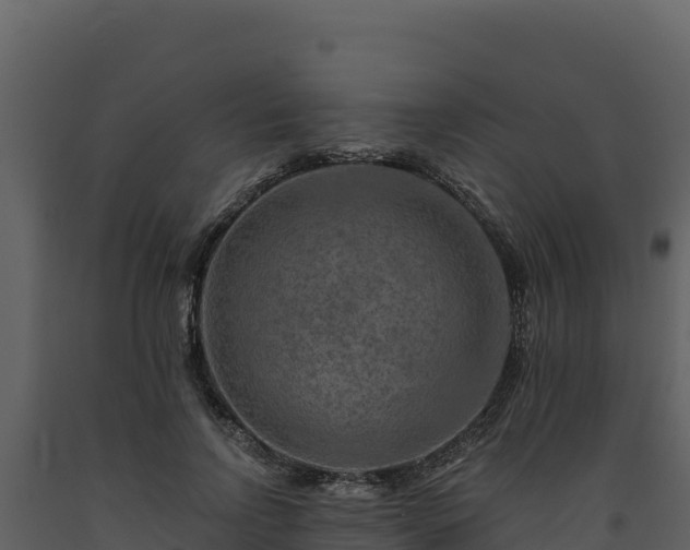 X0000093470742200710191144