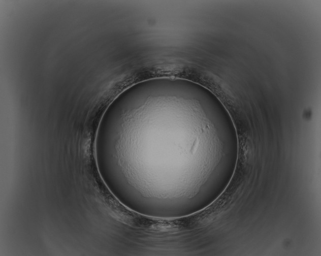 X0000093470745200710191144