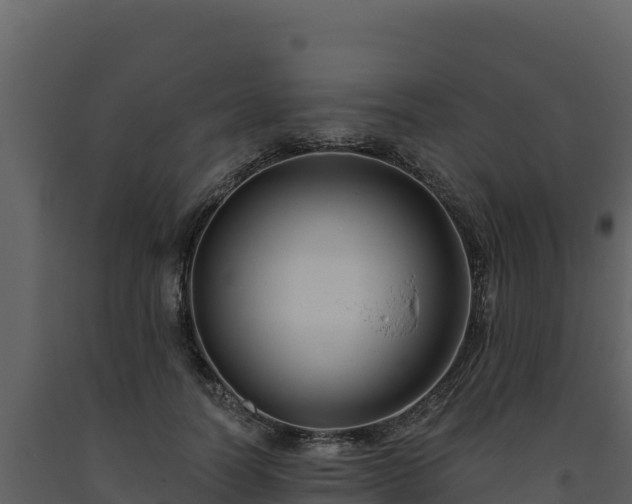 X0000093470746200710191145