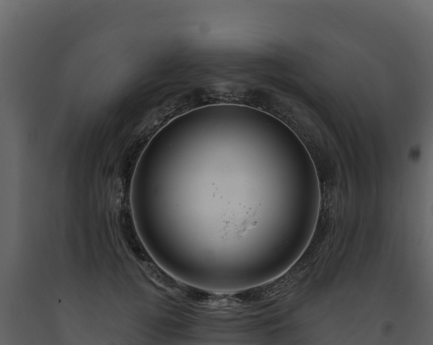 X0000093470752200710191145