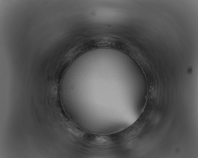 X0000093470753200710191145