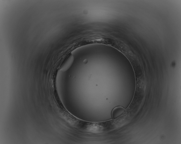 X0000093470754200710191145