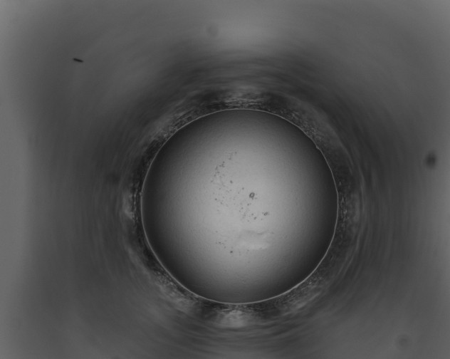 X0000093470755200710191145