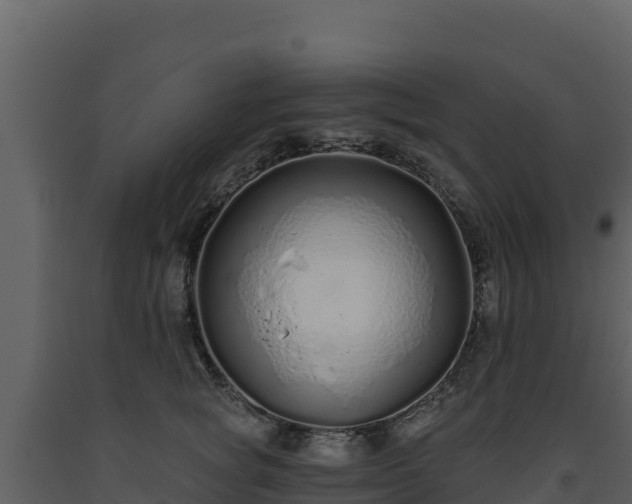 X0000093470757200710191145