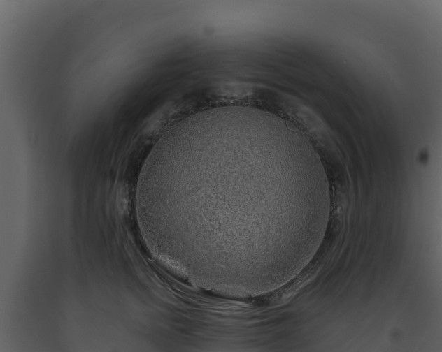 X0000093470758200710191145