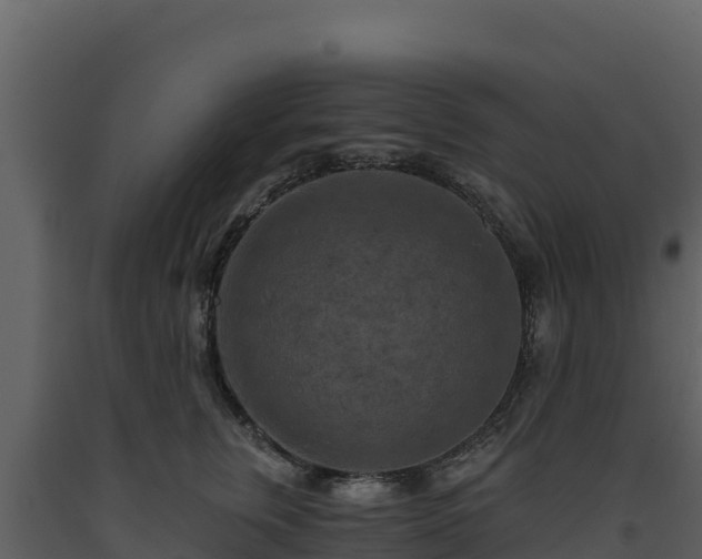 X0000093470759200710191145