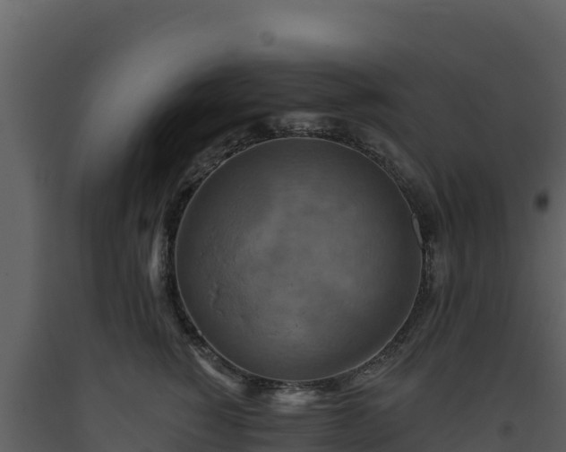 X0000093470760200710191145