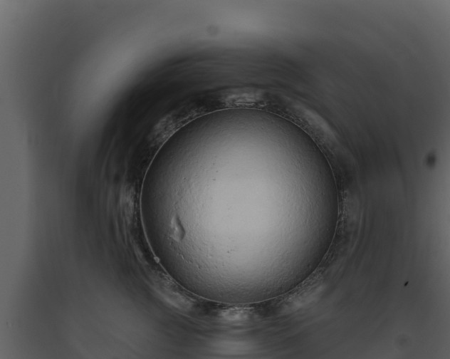 X0000093470761200710191145