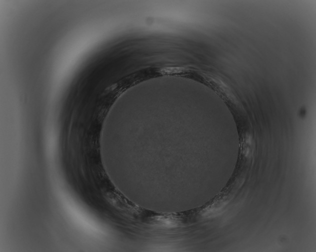 X0000093470763200710191145