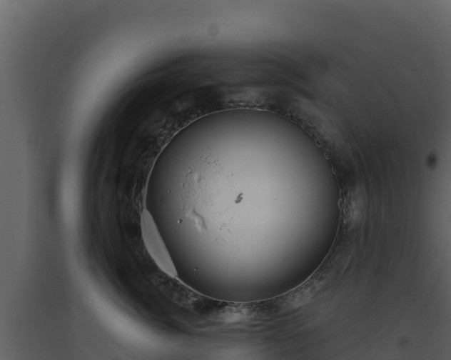 X0000093470764200710191145