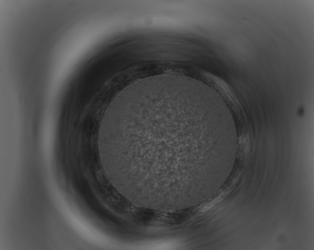 X0000093470765200710191145