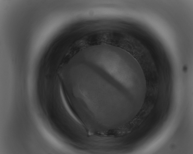 X0000093470766200710191145