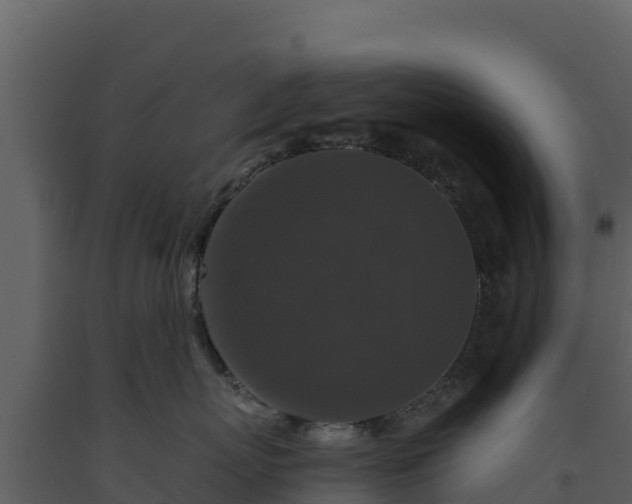 X0000093470767200710191145