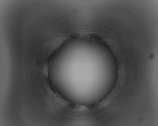 X0000093470768200710191145