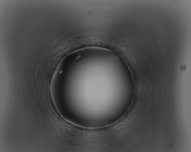 X0000093470769200710191144