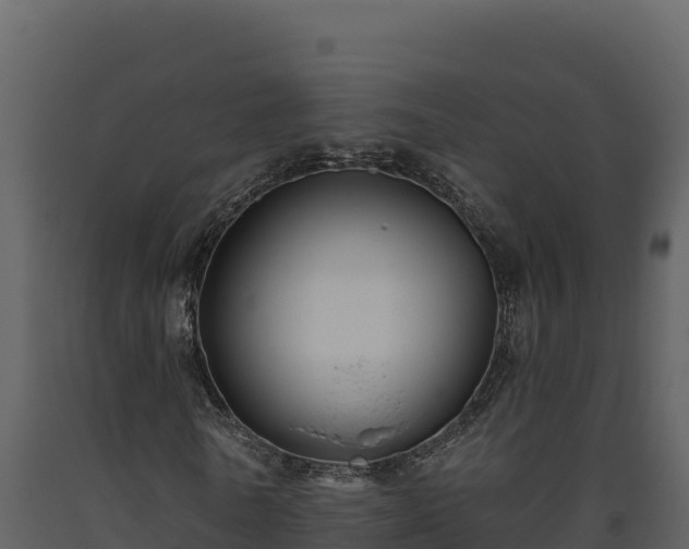 X0000093470770200710191144