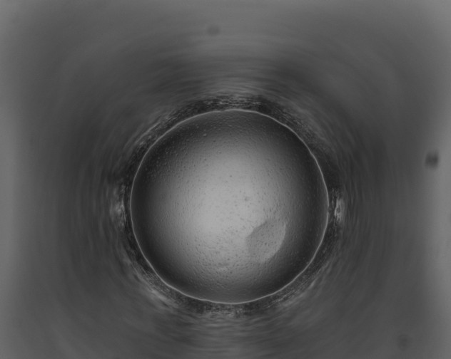 X0000093470771200710191144