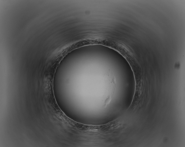 X0000093470773200710191144