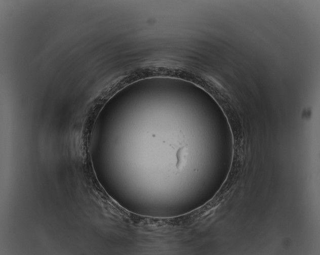 X0000093470774200710191144