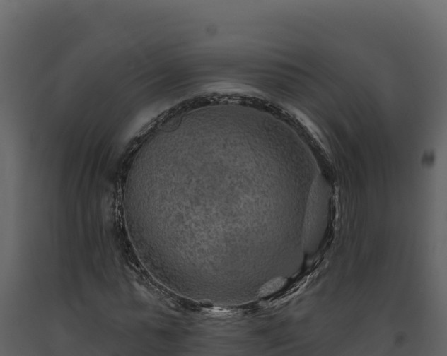 X0000093470775200710191144