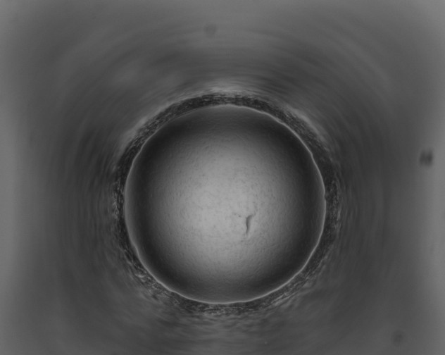 X0000093470776200710191144