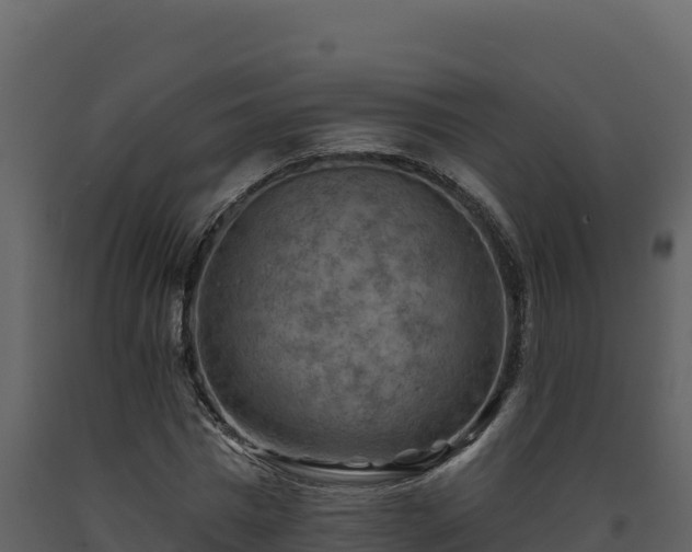 X0000093470777200710191144