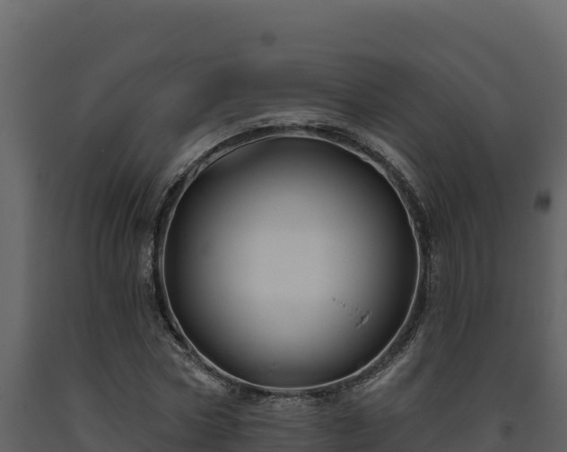 X0000093470778200710191144