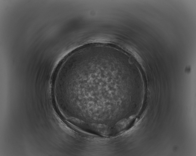 X0000093470779200710191144