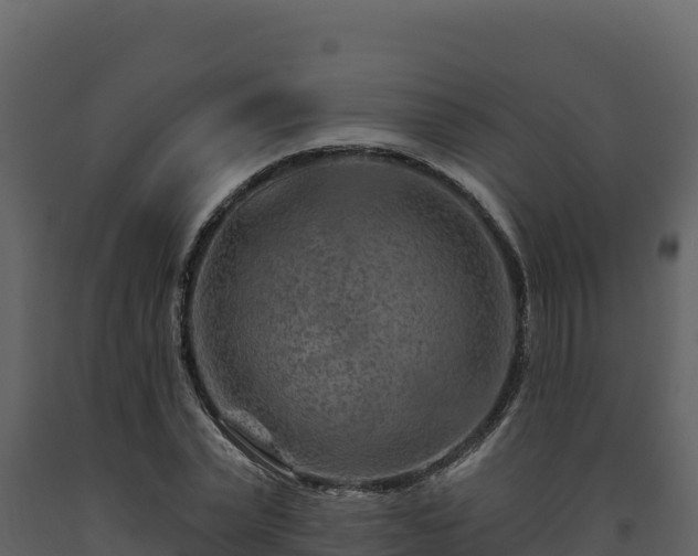 X0000093470783200710191144