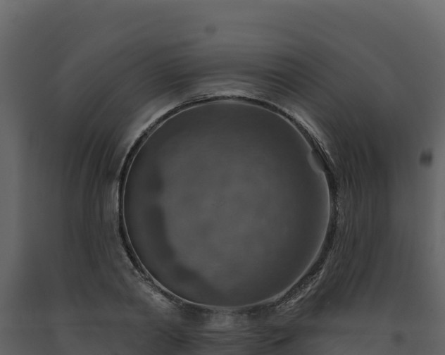 X0000093470790200710191144