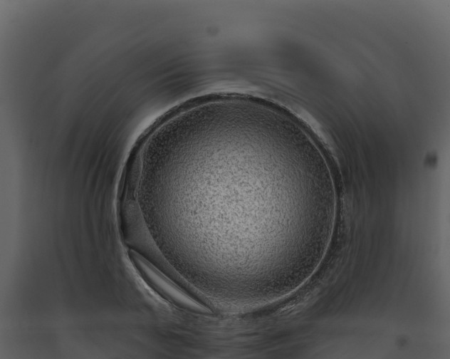 X0000093470791200710191144