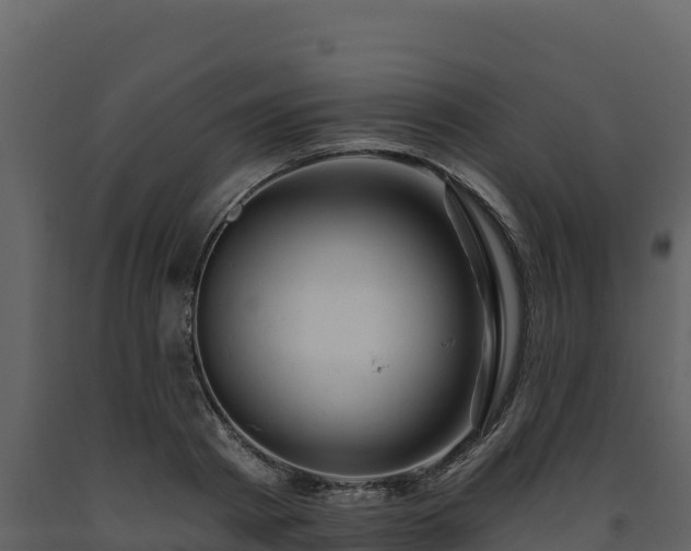 X0000093470793200710191144